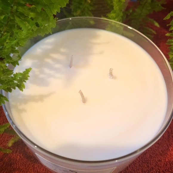 ❤️BUY 5 GET 3 FREE  ROLAND PINE LARGETHREE WICK CANDLE - Picture 2 of 8